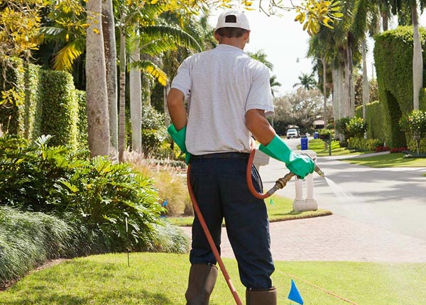 About Maple Hill KS Pest Control